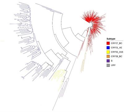 Molecular network characteristics and drug resistance analysis of 392 newly reported MSM HIV/AIDS cases in Chongqing, China